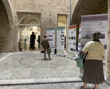 JEA 2024 – Agde – Visite libre de l’exposition du Bois de Riquet et dernière visite commentée le 19 juin 2024